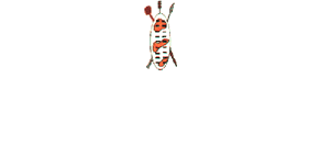 Anglo Zulu War Historical Society